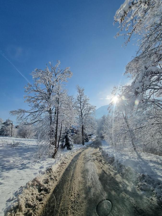 Karpielowka 77 Pokoje Goscinne Kościelisko Εξωτερικό φωτογραφία
